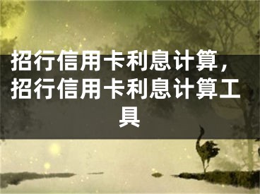 招行信用卡利息計算，招行信用卡利息計算工具