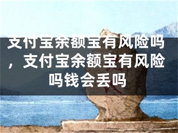 支付寶余額寶有風(fēng)險(xiǎn)嗎，支付寶余額寶有風(fēng)險(xiǎn)嗎錢會(huì)丟嗎