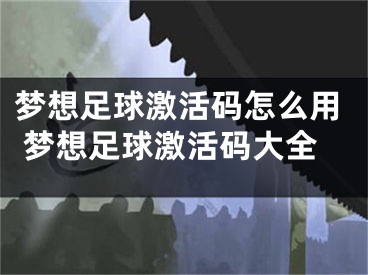 夢想足球激活碼怎么用 夢想足球激活碼大全