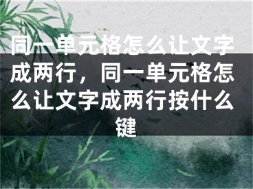 同一單元格怎么讓文字成兩行，同一單元格怎么讓文字成兩行按什么鍵