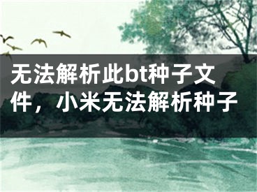 無法解析此bt種子文件，小米無法解析種子