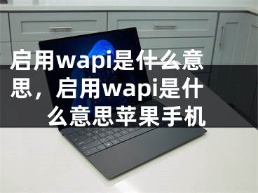 啟用wapi是什么意思，啟用wapi是什么意思蘋果手機(jī)