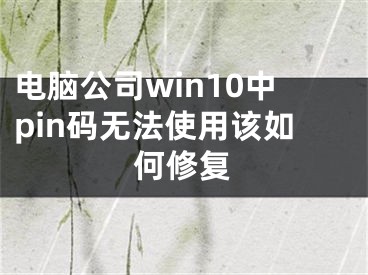 電腦公司win10中pin碼無(wú)法使用該如何修復(fù)