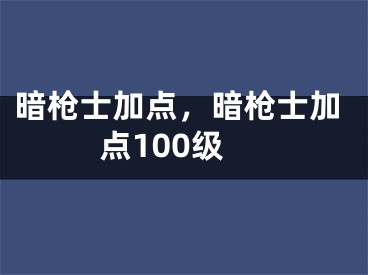 暗槍士加點(diǎn)，暗槍士加點(diǎn)100級