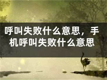 呼叫失敗什么意思，手機(jī)呼叫失敗什么意思