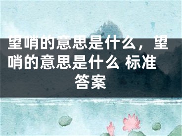 望哨的意思是什么，望哨的意思是什么 標(biāo)準(zhǔn)答案