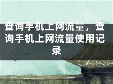 查詢手機(jī)上網(wǎng)流量，查詢手機(jī)上網(wǎng)流量使用記錄