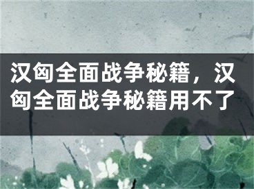 漢匈全面戰(zhàn)爭秘籍，漢匈全面戰(zhàn)爭秘籍用不了