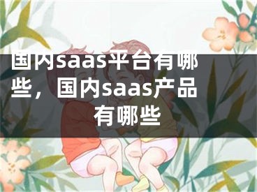 國內(nèi)saas平臺(tái)有哪些，國內(nèi)saas產(chǎn)品有哪些