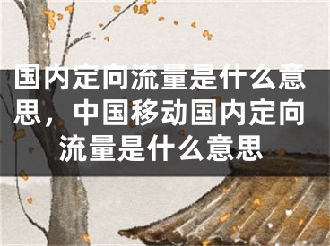 國內(nèi)定向流量是什么意思，中國移動國內(nèi)定向流量是什么意思