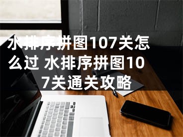 水排序拼圖107關怎么過 水排序拼圖107關通關攻略