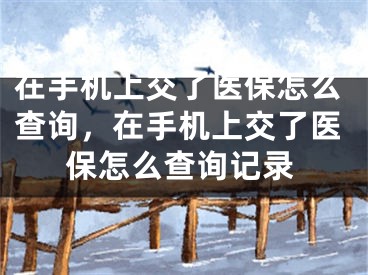 在手機上交了醫(yī)保怎么查詢，在手機上交了醫(yī)保怎么查詢記錄