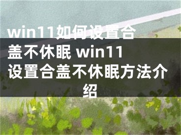 win11如何設(shè)置合蓋不休眠 win11設(shè)置合蓋不休眠方法介紹