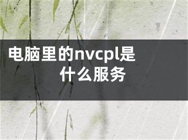 電腦里的nvcpl是什么服務(wù)