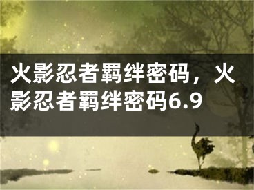 火影忍者羈絆密碼，火影忍者羈絆密碼6.9