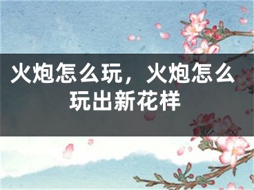 火炮怎么玩，火炮怎么玩出新花樣