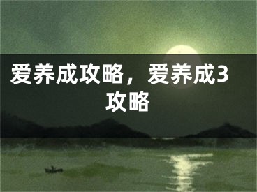 愛養(yǎng)成攻略，愛養(yǎng)成3攻略