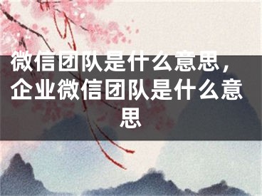 微信團隊是什么意思，企業(yè)微信團隊是什么意思