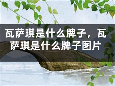 瓦薩琪是什么牌子，瓦薩琪是什么牌子圖片