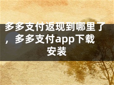 多多支付返現(xiàn)到哪里了，多多支付app下載安裝