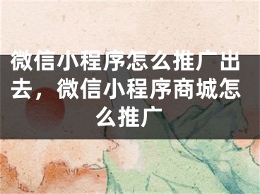 微信小程序怎么推廣出去，微信小程序商城怎么推廣