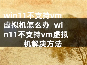 win11不支持vm虛擬機(jī)怎么辦  win11不支持vm虛擬機(jī)解決方法