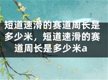 短道速滑的賽道周長(zhǎng)是多少米，短道速滑的賽道周長(zhǎng)是多少米a