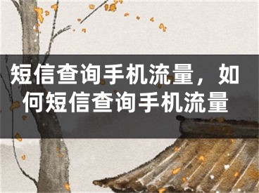 短信查詢手機流量，如何短信查詢手機流量