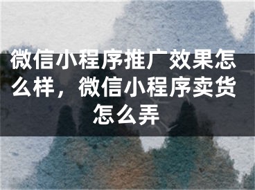 微信小程序推廣效果怎么樣，微信小程序賣貨怎么弄