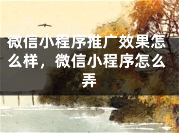 微信小程序推廣效果怎么樣，微信小程序怎么弄