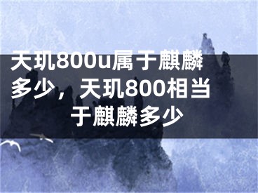 天璣800u屬于麒麟多少，天璣800相當(dāng)于麒麟多少