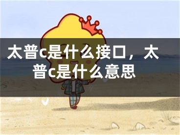 太普c是什么接口，太普c是什么意思