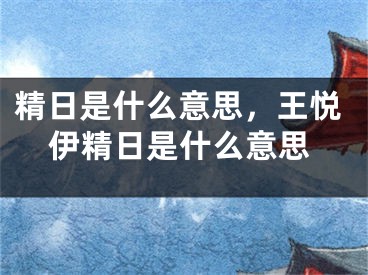 精日是什么意思，王悅伊精日是什么意思