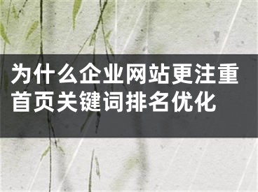 為什么企業(yè)網(wǎng)站更注重首頁關(guān)鍵詞排名優(yōu)化 