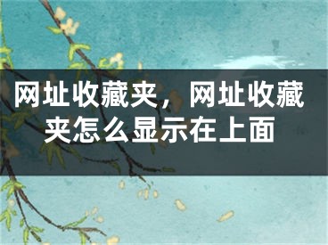 網(wǎng)址收藏夾，網(wǎng)址收藏夾怎么顯示在上面