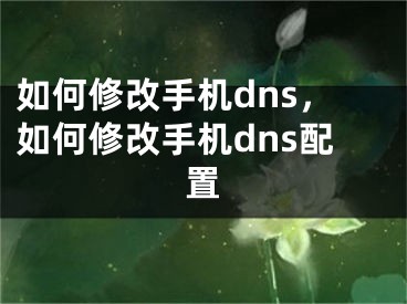 如何修改手機(jī)dns，如何修改手機(jī)dns配置