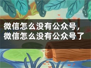 微信怎么沒有公眾號(hào)，微信怎么沒有公眾號(hào)了