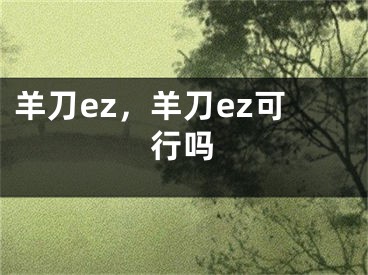 羊刀ez，羊刀ez可行嗎