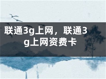 聯(lián)通3g上網(wǎng)，聯(lián)通3g上網(wǎng)資費(fèi)卡