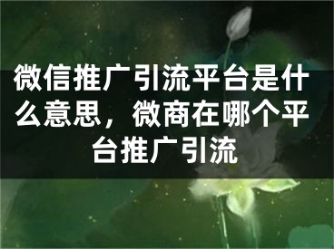 微信推廣引流平臺是什么意思，微商在哪個平臺推廣引流