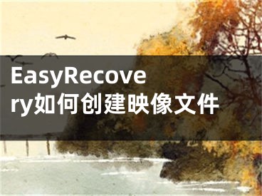 EasyRecovery如何創(chuàng)建映像文件