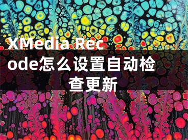 XMedia Recode怎么設(shè)置自動(dòng)檢查更新