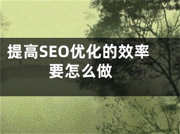 提高SEO優(yōu)化的效率要怎么做 