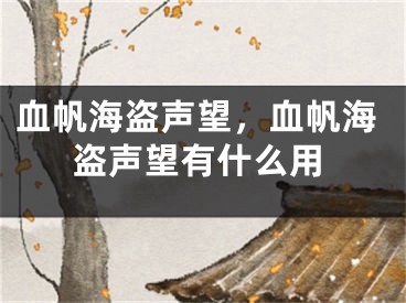 血帆海盜聲望，血帆海盜聲望有什么用