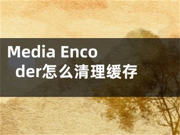 Media Encoder怎么清理緩存