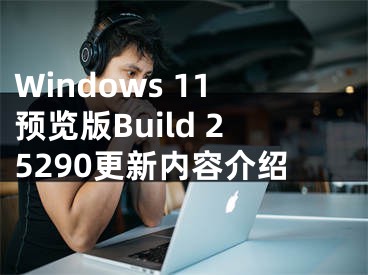 Windows 11預(yù)覽版Build 25290更新內(nèi)容介紹