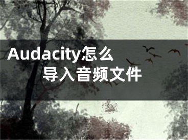 Audacity怎么導(dǎo)入音頻文件