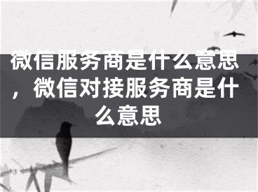 微信服務(wù)商是什么意思，微信對接服務(wù)商是什么意思