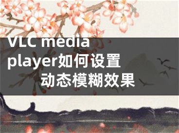 VLC media player如何設(shè)置動(dòng)態(tài)模糊效果