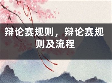 辯論賽規(guī)則，辯論賽規(guī)則及流程